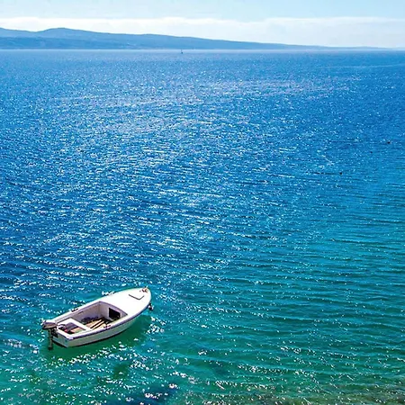Pogled