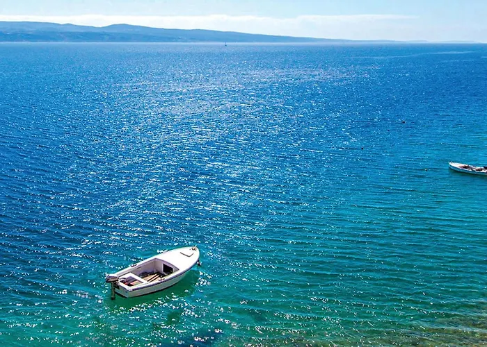 Pogled